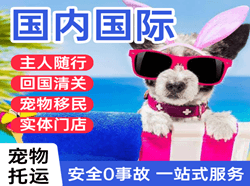 贵阳龙洞堡空运公司国际宠物托运 【国